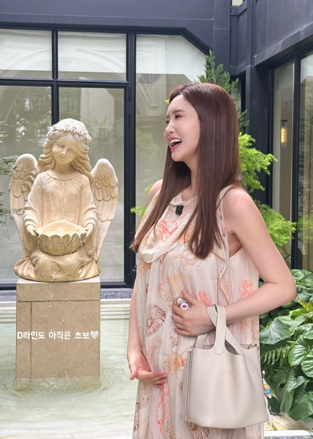 이다해, 임산부 D라인 몸매 근황! 세븐 아내 11월 출산예정 앞두고 이런 라인이라니!패션,아기....