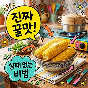 옥수수 삶는법 뉴슈가 소금 황금비율 시간 보관법 완벽 가이드