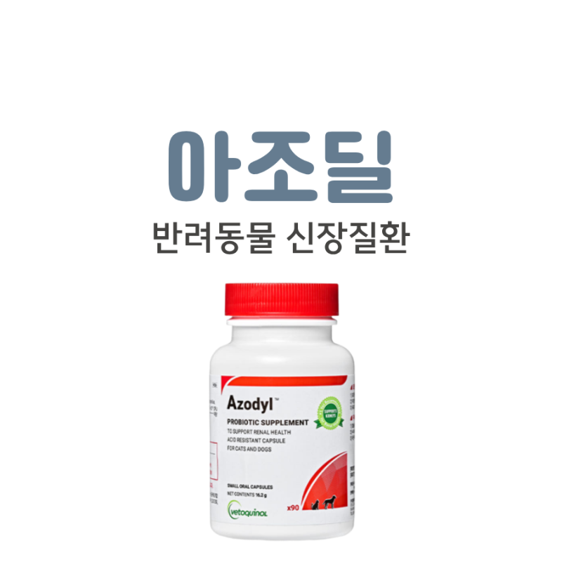 반려동물 신장 영양제 아조딜, 실제 효능 및 정확한 복용방법