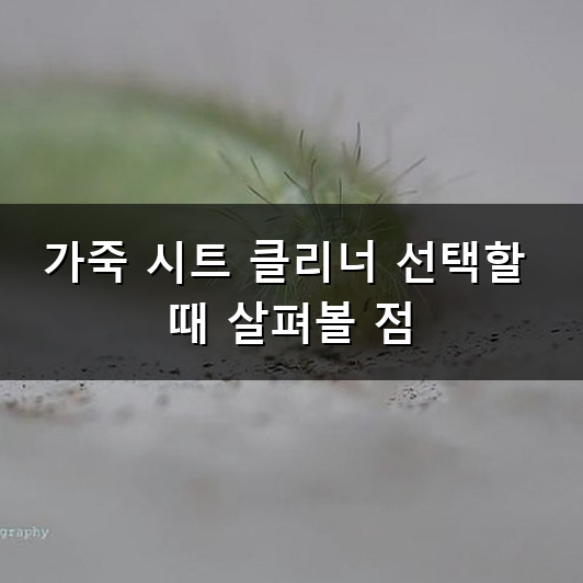 가죽 시트 클리너 관리법과 자주 묻는 질문들