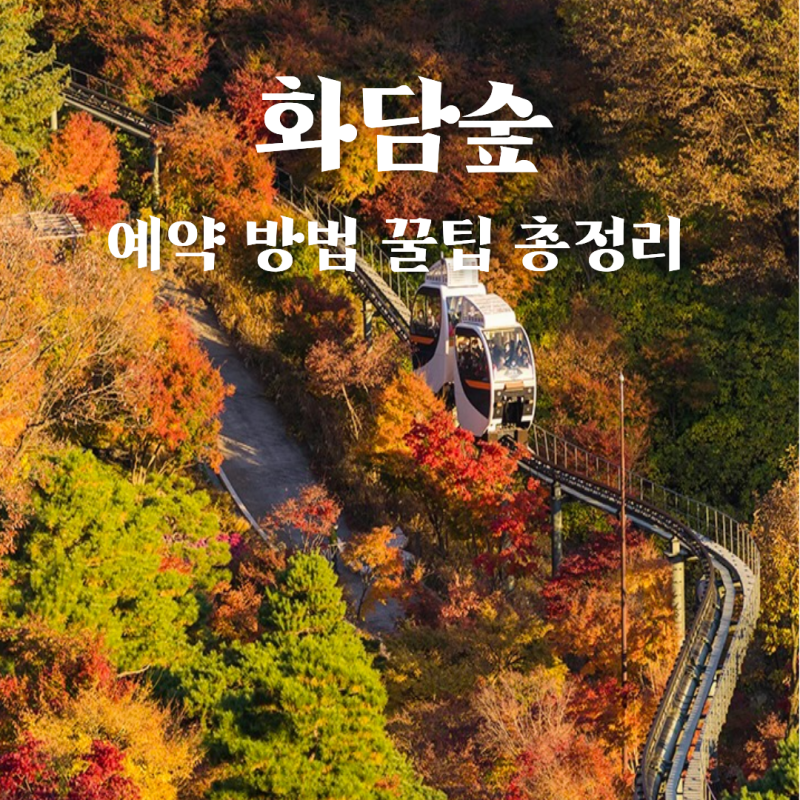 2026년 곤지암 화담숲 모노레일 예약방법 총정리, 10월 예약 오픈 날짜부터 할인 입장료, 단풍....