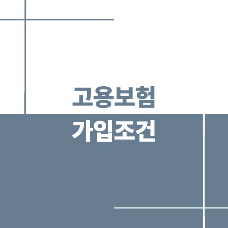 고용보험 가입조건 총정리｜주 15시간·알바·일용직·65세 기준