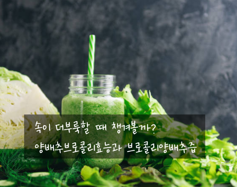 속이 더부룩할 때 챙겨볼까? 양배추브로콜리효능과 브로콜리양배추즙