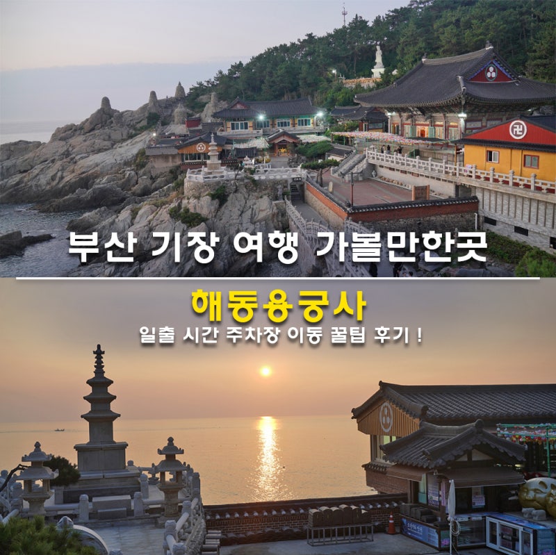 부산 기장 여행 가볼만한곳 해동용궁사 일출 시간 주차장 이동 꿀팁 후기