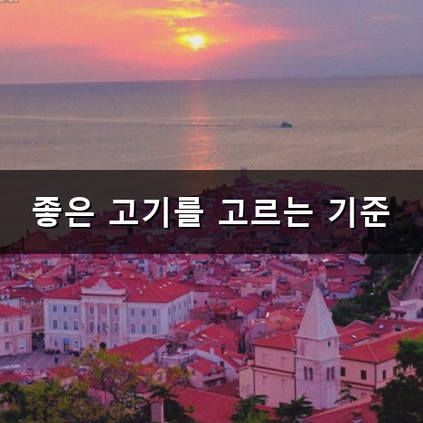 LA 갈비 추천 실패 없는 실패 없는 고기 고르는 법과 굽는 요령