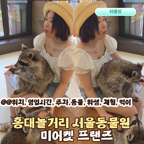 미어캣 프랜즈 홍대 놀거리 서울 동물원 홍대데이트 서울 데이트 이색데이트