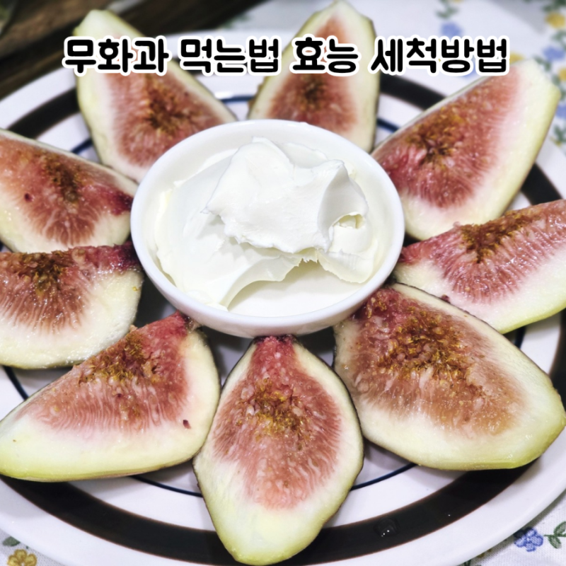무화과 먹는법 효능 세척방법 8월 9월 꼭 먹어야 할 제철과일