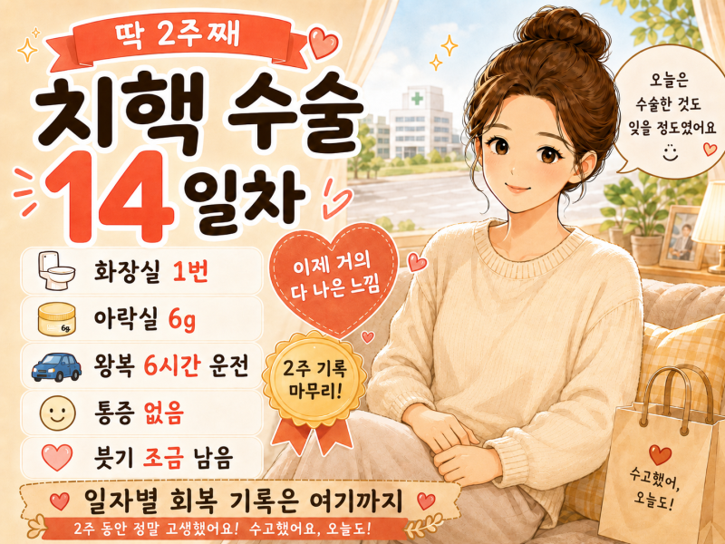[14일차] 치질(치핵) 수술 후기 (2026.08.28) 딱 2주, 이제 거의 다 나은 느낌