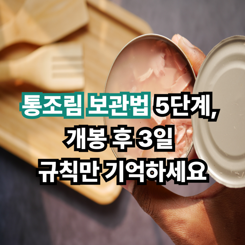 통조림 보관법 5단계, 개봉 후 3일 규칙만 기억하세요