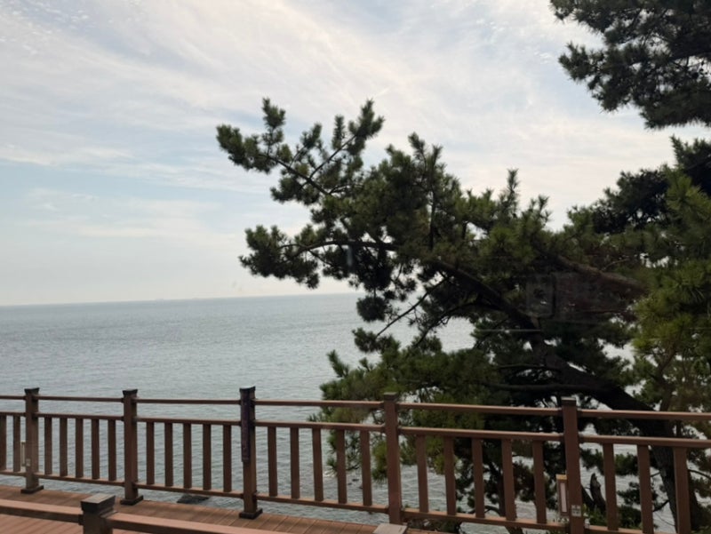 부산 해운대 해변열차 예약, 코스, 시간 총정리 (에어컨 O) 부산 아이랑 가볼만한곳