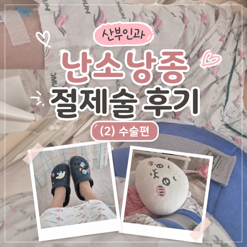 산부인과 난소낭종 절제술 수술 후기 (2) 수술편