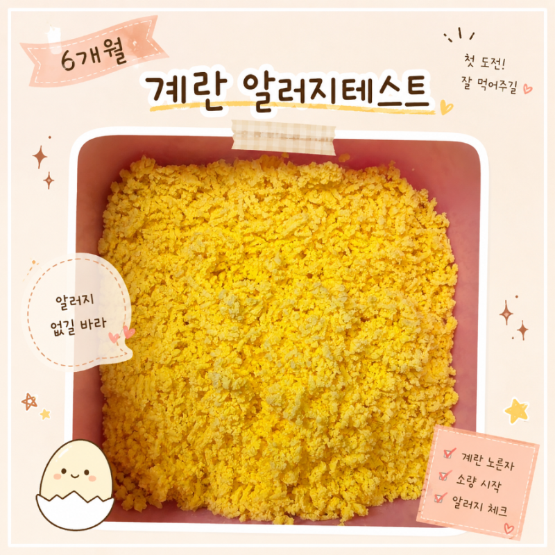 6개월) 계란 알러지 테스트 | 방법, 알러지 증상 정리