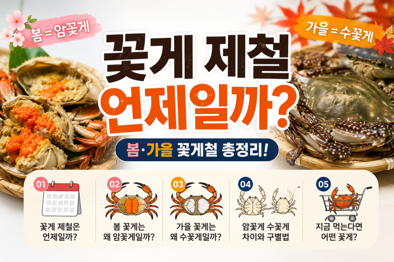 꽃게 제철 언제일까 봄 가을 꽃게철 암꽃게 수꽃게 알아보기