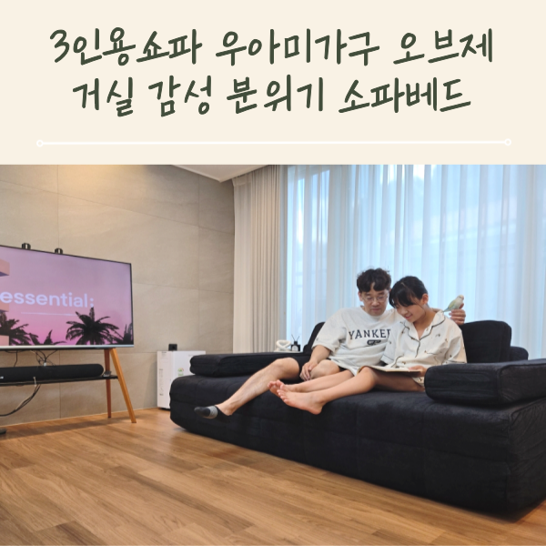 3인용쇼파 우아미가구 오브제 거실 감성 분위기 소파베드
