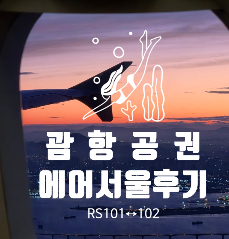괌 항공권 에어서울 후기 가격.좌석.탑승 팁까지RS101인천 ↔ RS102괌 직항 괌공항 괌날씨