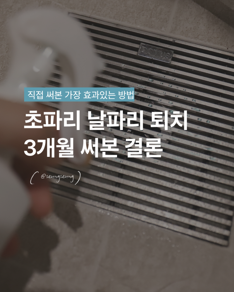 여름내내 효과본 화장실 초파리 하수구 날파리 퇴치방법
