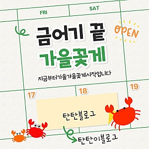 꽃게 금어기 끝! 가을 꽃게철 시작｜가을엔 암꽃게? 수꽃게?