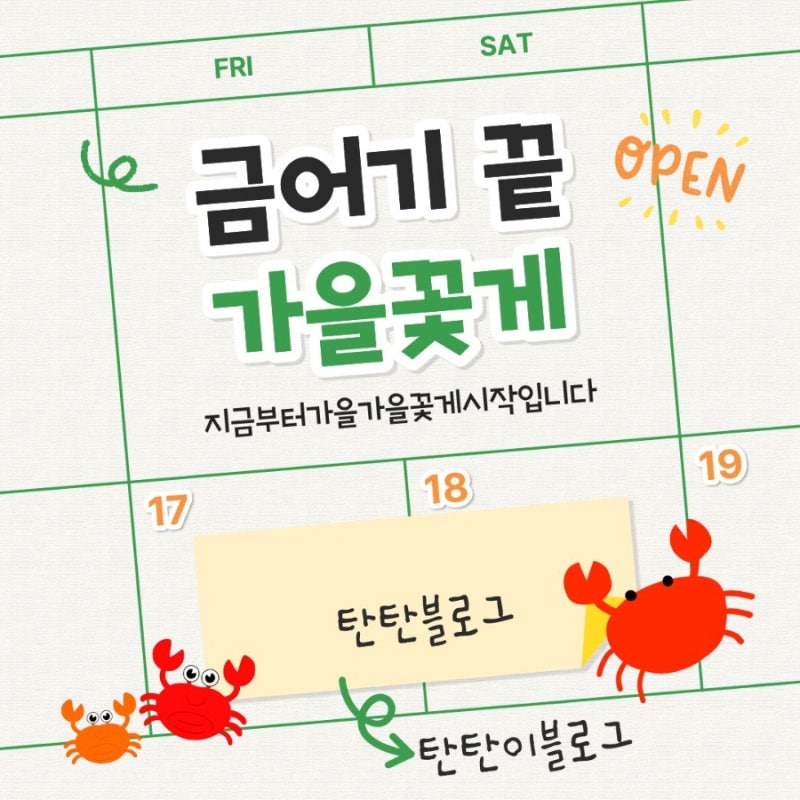 꽃게 금어기 끝! 가을 꽃게철 시작｜가을엔 암꽃게? 수꽃게?