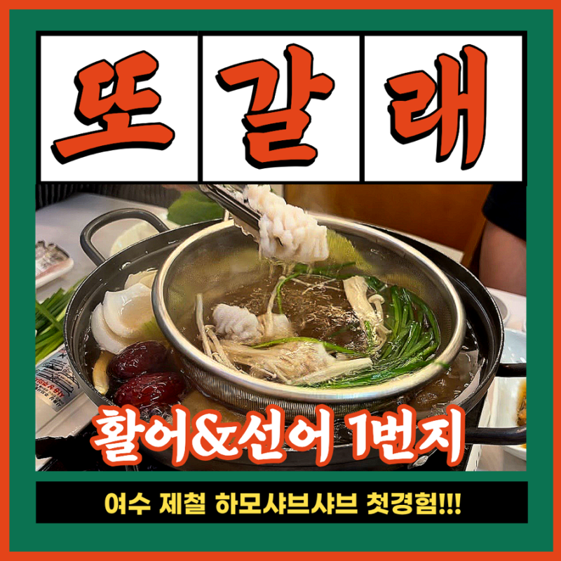 여수 하모 샤브샤브 맛집 활어&선어 1번지, 스끼다시부터 하모회까지 푸짐하게