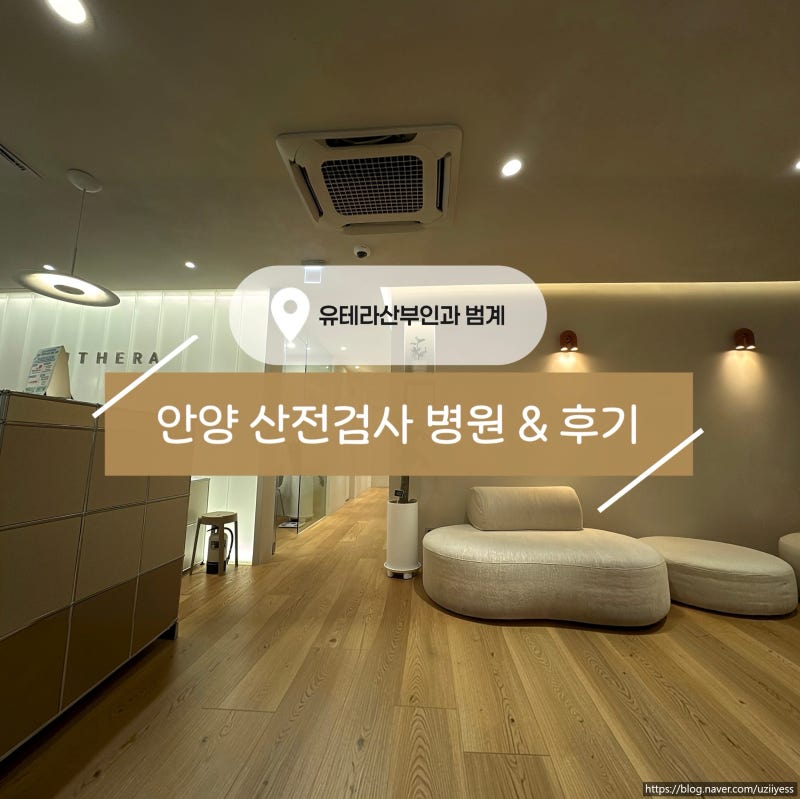 [둘에서 셋 #01] 다낭성 인간의 안양 산전검사 후기｜유테라 산부인과 범계점