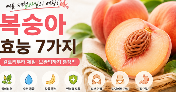 복숭아 효능 7가지｜칼로리부터 제철·보관법까지 총정리