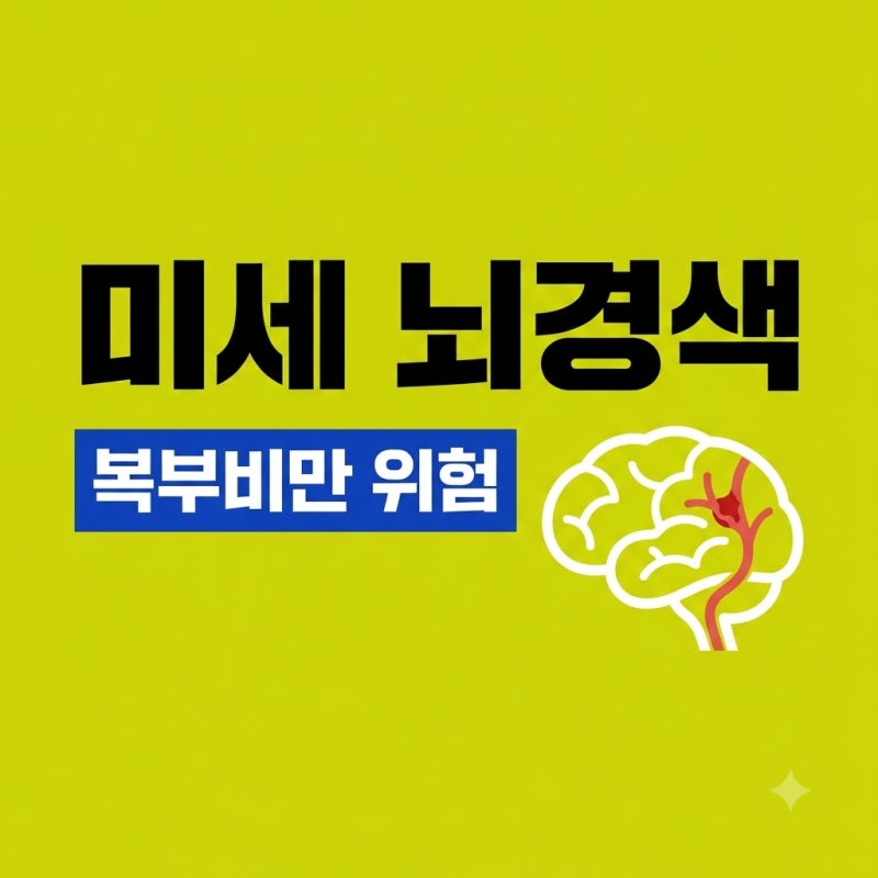 미세 뇌경색 방치 시 위험! 복부 비만이 뇌혈관 파괴하는 이유
