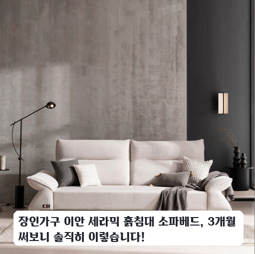 며칠 써본 장인가구 이안 흙침대 소파베드 편안함