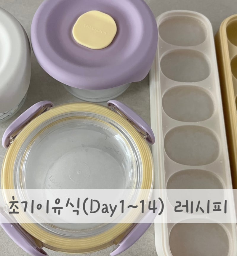 초기이유식 | 이유식 1일차~14일차 | 쌀, 소고기, 애호박, 감자, 양배추