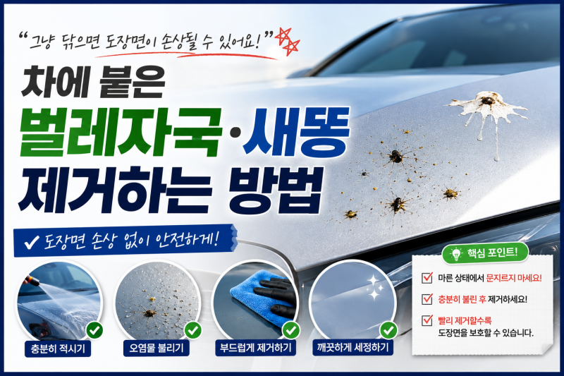 자동차에 붙은 벌레자국, 새똥 안전하게 제거하는 방법