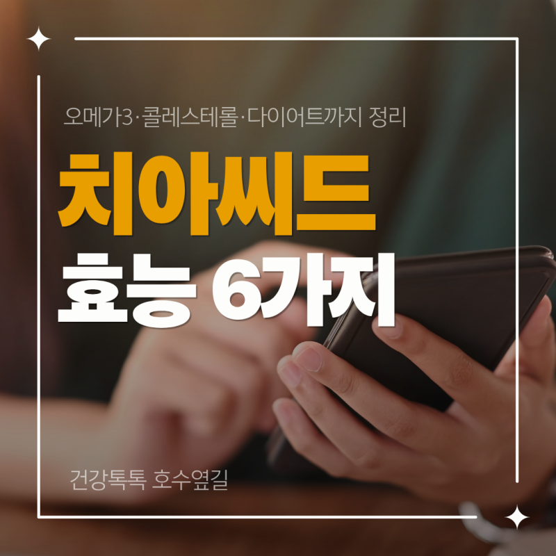 치아씨드 효능 6가지, 오메가3·콜레스테롤·다이어트까지 정리