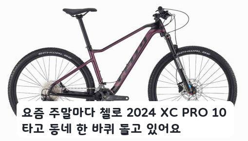 입문자가 경험한 첼로 2024 XC PRO 10 카본 MTB 일주일 후기