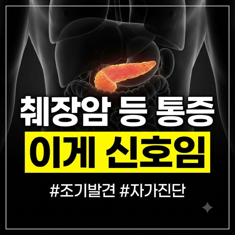 췌장암 초기증상 등 통증 위치와 자가진단법 완벽 정리