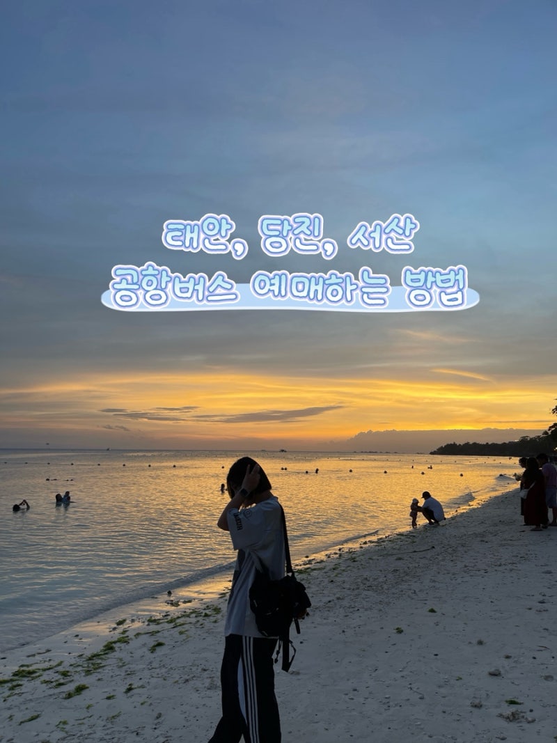 태안, 서산, 당진·기지시에서 인천공항 가는 방법! 티머니GO 어플 예매 및 시간표·가격 총정....