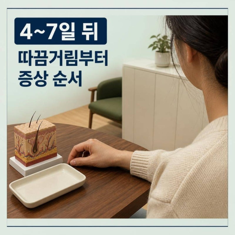 나타나는 차례대로 정리한 헤르페스 2형 증상