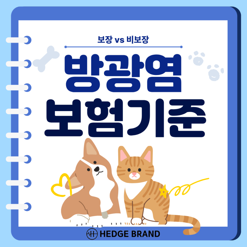 반려동물 방광염 보험 가능할까? 펫보험 보장 기준 총정리