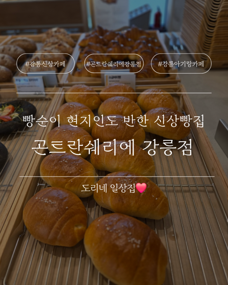 강릉 빵집 곤트란쉐리에 강릉점｜빵순이 현지인이 반한 신상 베이커리카페