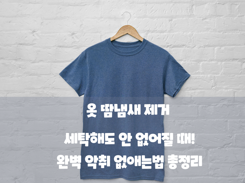 옷 땀냄새 제거 세탁해도 안 없어질 때! 완벽 악취 없애는법 총정리