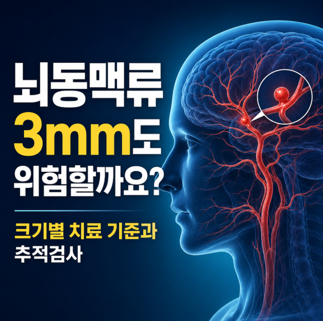 뇌동맥류 3mm도 위험할까요? 크기별 치료 기준과 추적검사