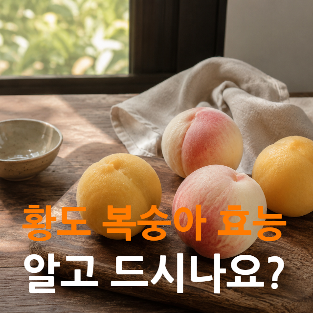황도 복숭아 효능, 알고 드시나요? 알레르기 증상부터 보관법까지