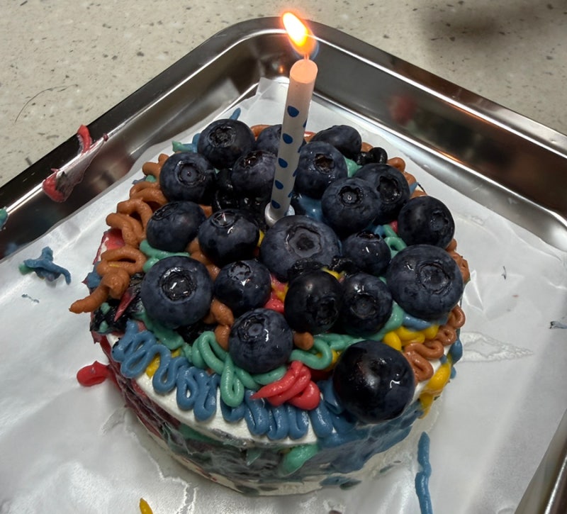 전포동 케이크 카페 나만의 케이크diy 키트 윔시 전포동 디저트