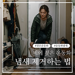 젖은 신발 냄새 제거 방법 7가지 / 비 오는 날 운동화 냄새 없애는 법