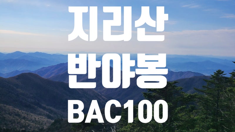 지리산 반야봉 등산코스난이도｜가도가도 끝이 없던 지리산 능선길