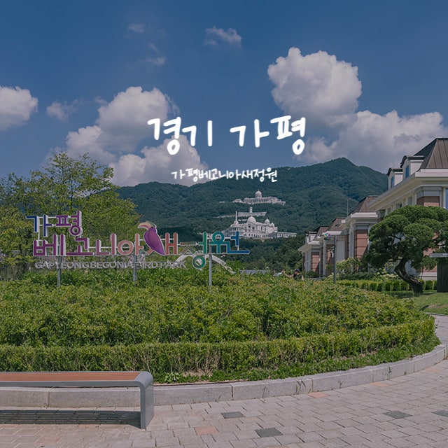 가평 아이와 가볼만한 곳, 가평베고니아새정원 여름 방문 솔직 후기