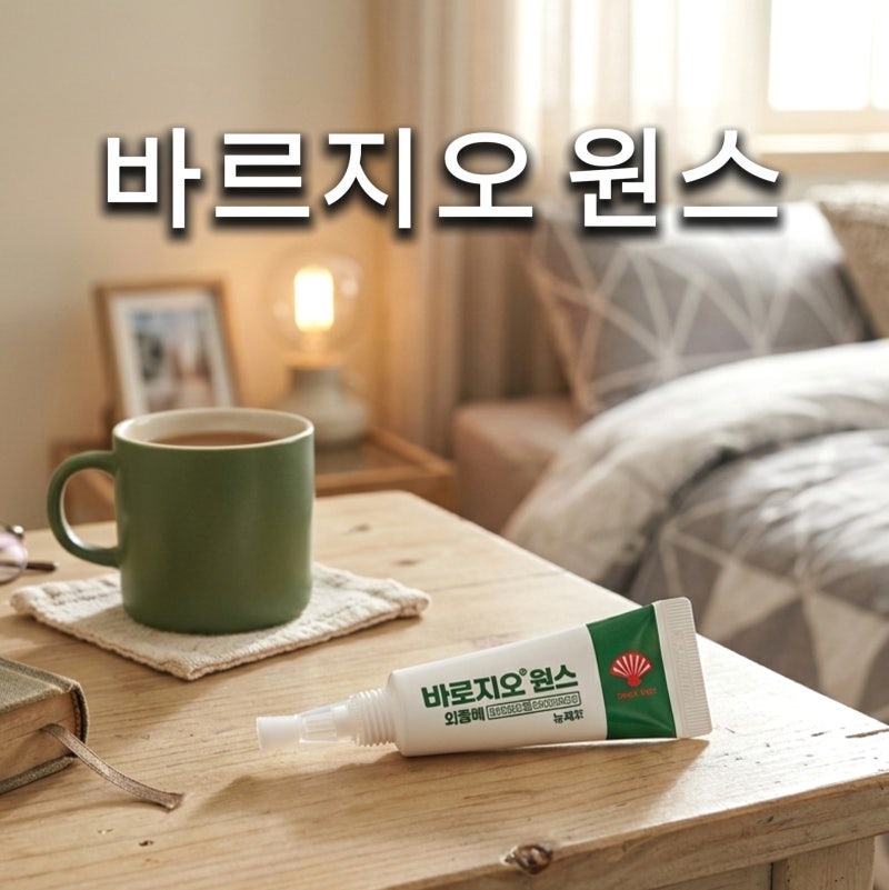 바르지오 원스 성분 효능 무좀 효과는? 사용법 주의사항 무좀약 정리
