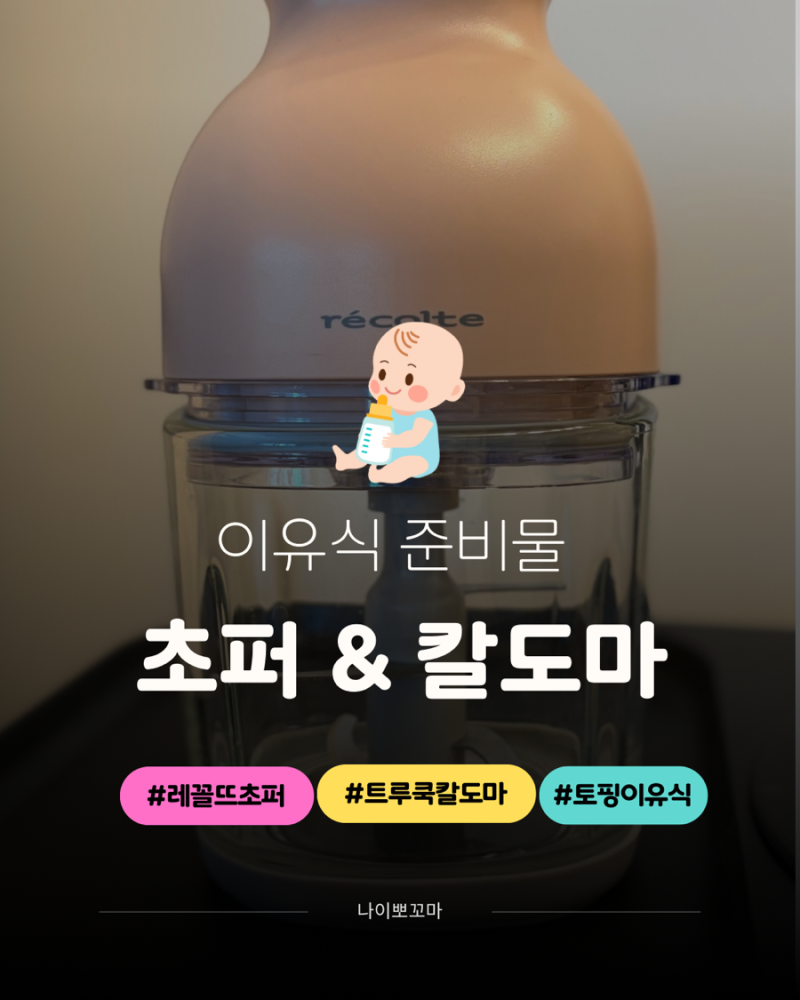 이유식 준비물 레꼴뜨 무선 초퍼와 트루쿡 칼도마 내돈내산 후기
