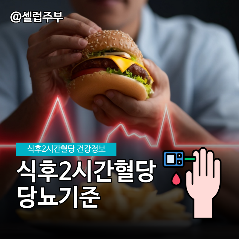 식후2시간혈당, 건강검진표 숫자 보고 헷갈릴때