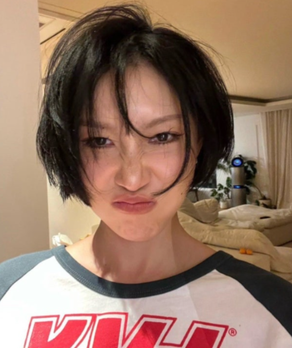 화사 나이 프로필 본명 키 고향 학력 가족 마마무 소속사 이적 악플 극복 굿굿바이 근황까지 ....