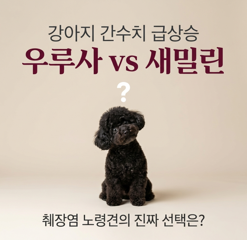 강아지 간수치 상승, 왜 우루사 대신 새밀린을 처방했을까? — SAMe vs UDCA 기전 차이