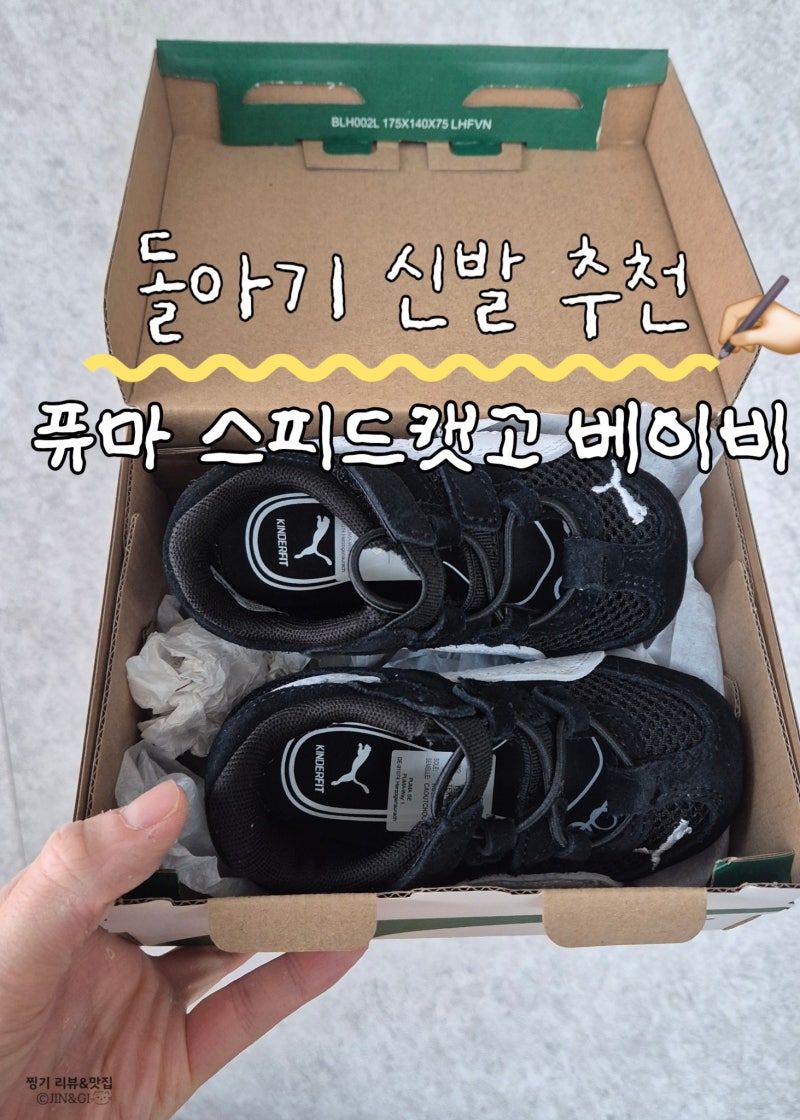 돌아기 신발 운동화 추천 뉴발란스 뉴비퍼스트, 퓨마 퍼스트캣고 내돈내산 후기
