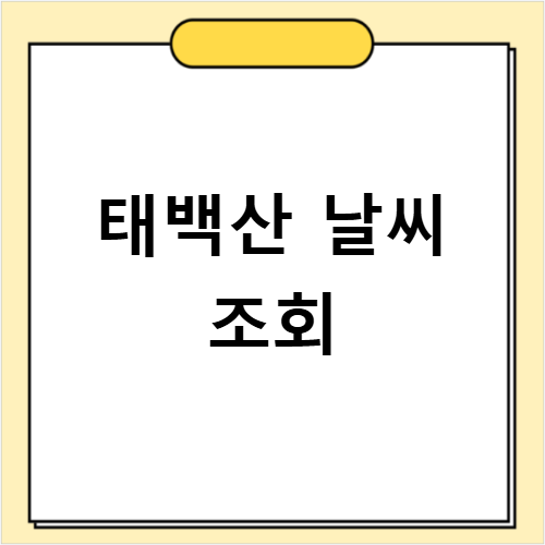 태백산 국립공원 실시간 날씨와 CCTV로 안전한 등산 준비하기